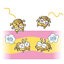 ダニが吸い寄せられる